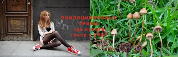 марки nbome Заводоуковск
