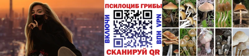 Галлюциногенные грибы Cubensis  Искитим 